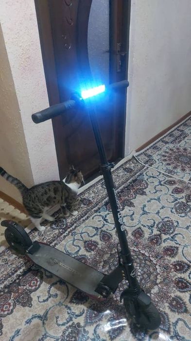 Электрический самокат