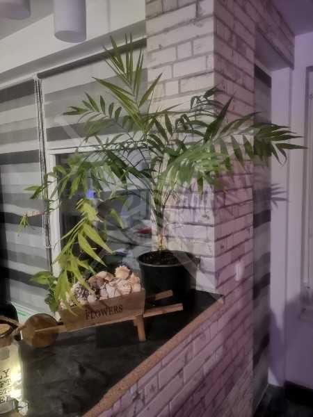 Продава се Двустаен апартамент в с. Марково, Област Пловдив - 68 кв.м за 1618 €/кв.м - Снимка #5