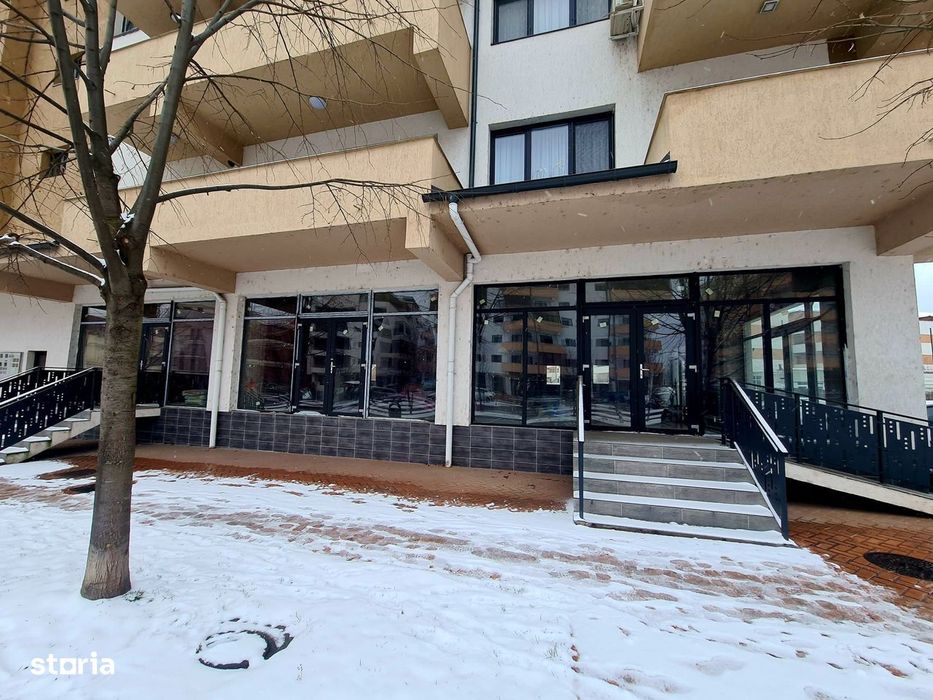 Spatii de vanzare / Dem Radulescu