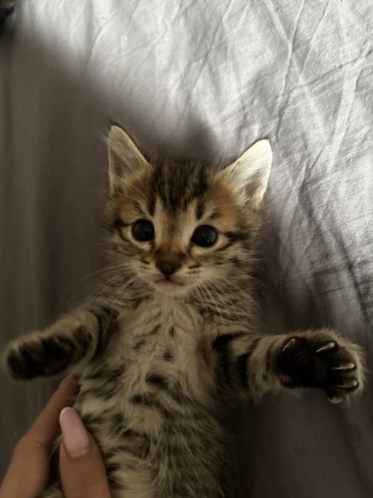 Только в любящие руки