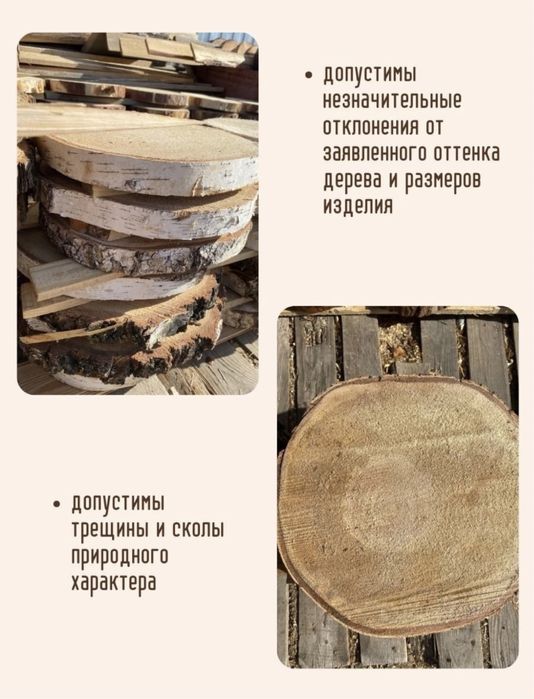 Спил (срез) дерева, Береза/Липа