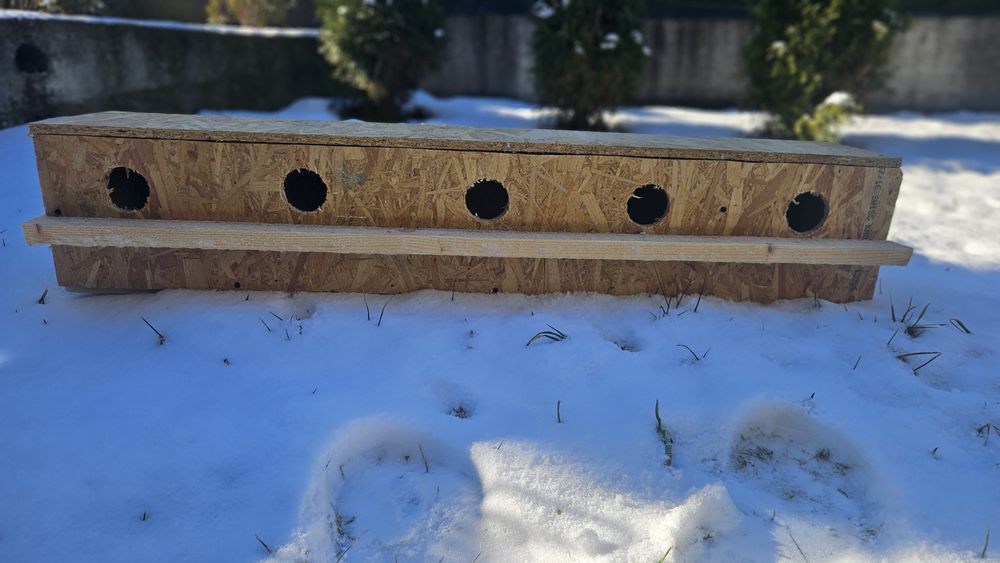 Vând cuibare pentru papagali