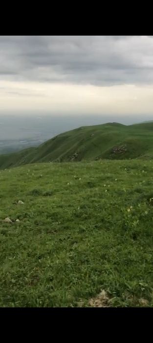 Продается земля .Жайляу 250га