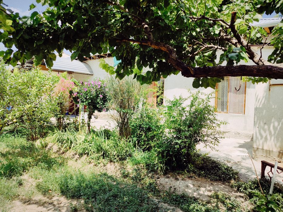 Чирчик Шахар 7 сотих ориентир: платина,хавас