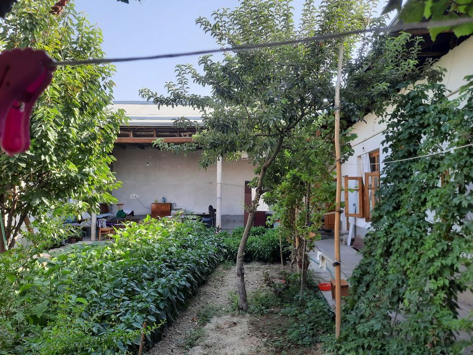 Hovli sotiladi 3.62 sotix