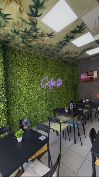 Afacere la cheie: Cafenea + Fornetti / Valea Rosie