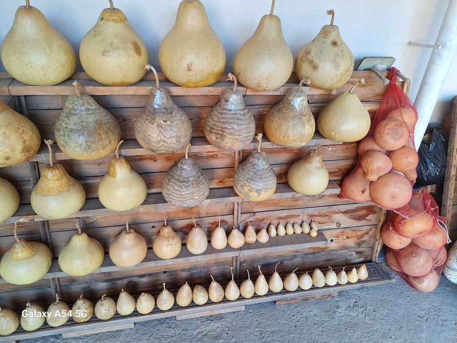 Томоша Ковок сотилади