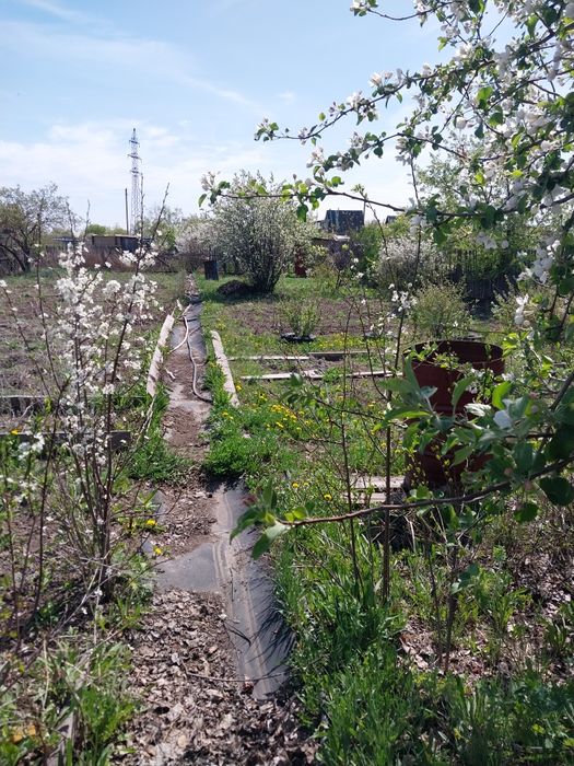 Продам дачу Черёмушки