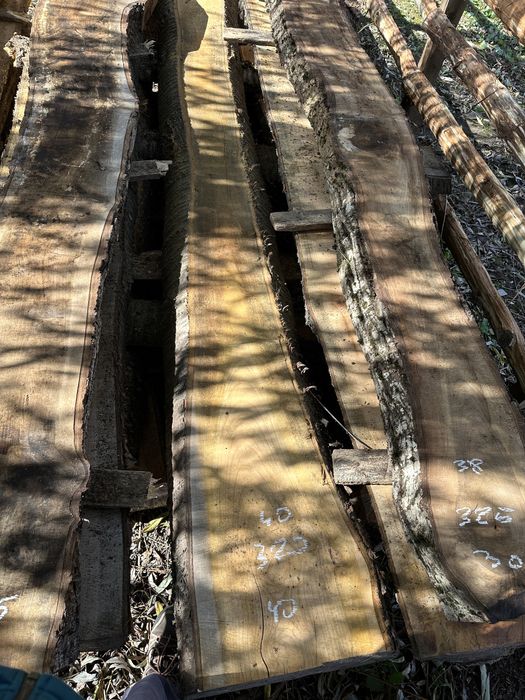 Nuc si cires / blaturi lemn masiv