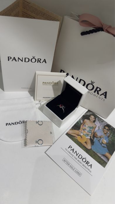 Pandora S925 ALE полный комплект