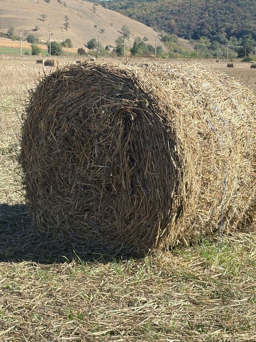 Vindem baloti de paie productie 2025