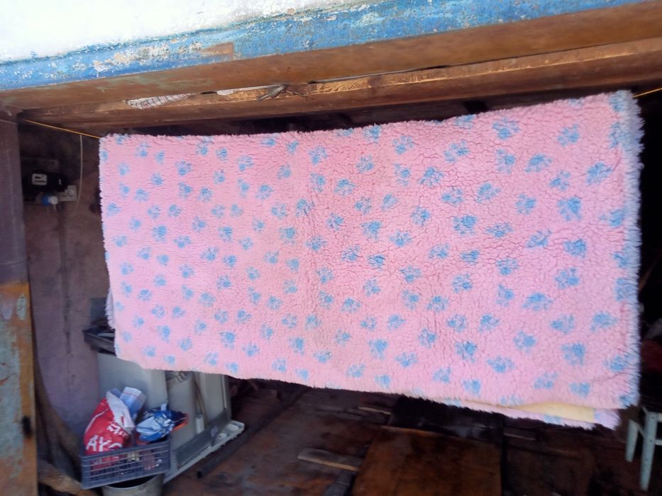 Одеяло для животных