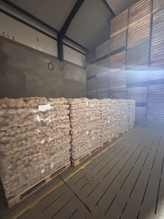 Cartofi Premium import Franta | Belgia | Olanda si Germania