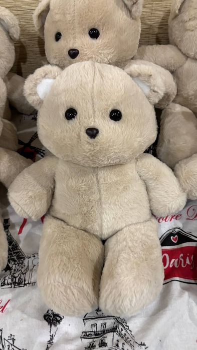 Милый бегущий медведь