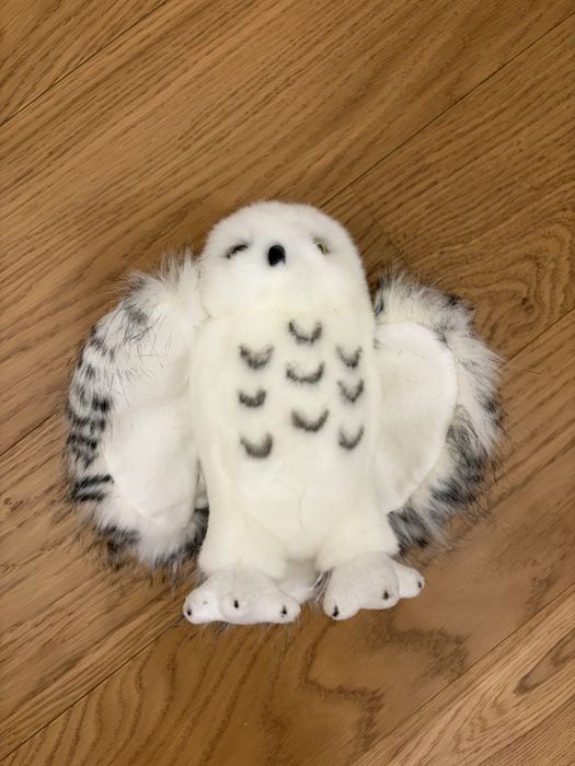 Букля, полярная сова из вселенной Гарри