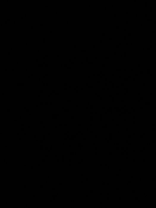 Абонемент в fitness blitz