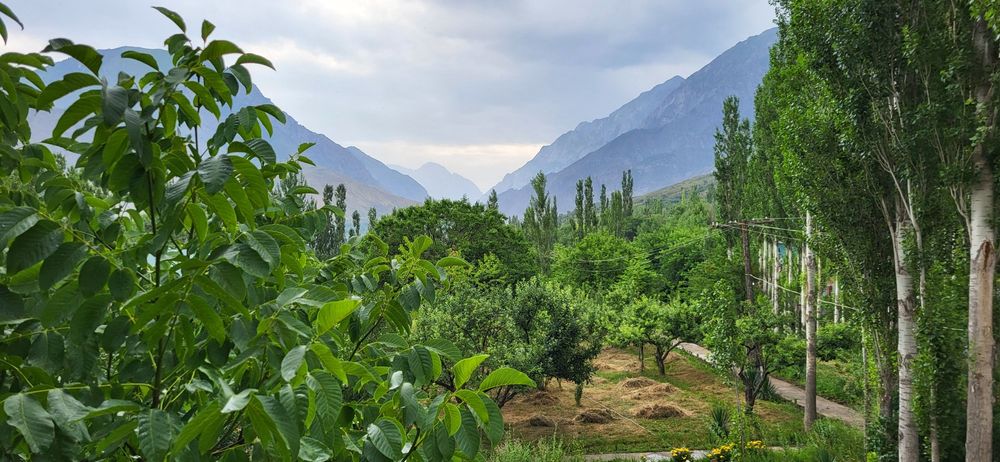 Действующий бизнес. Зона отдыха