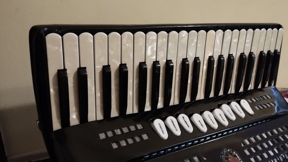 Италиански акордеон 120 баса