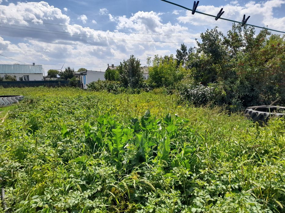 Продам дом 40км от Астаныы