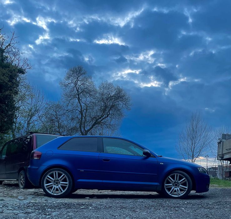 Audi a3 8p 1.9/105bls