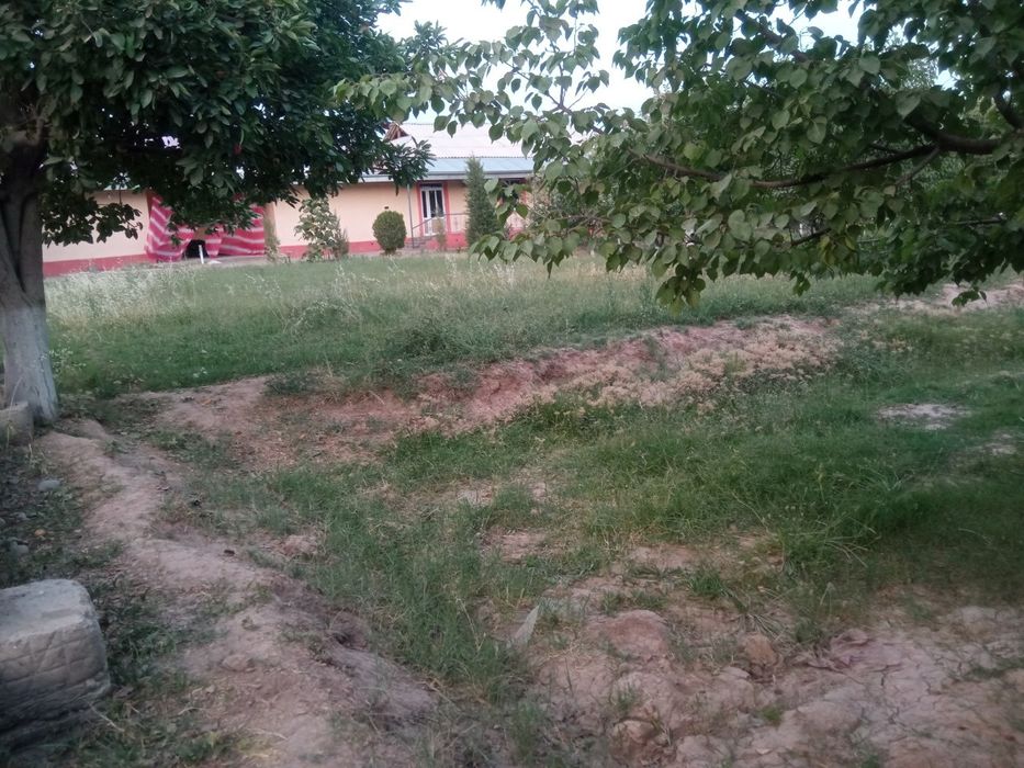 Gaz, svet, ichimlik suvi, yer sug'orish uchun suv lari mavjud 5 sotix