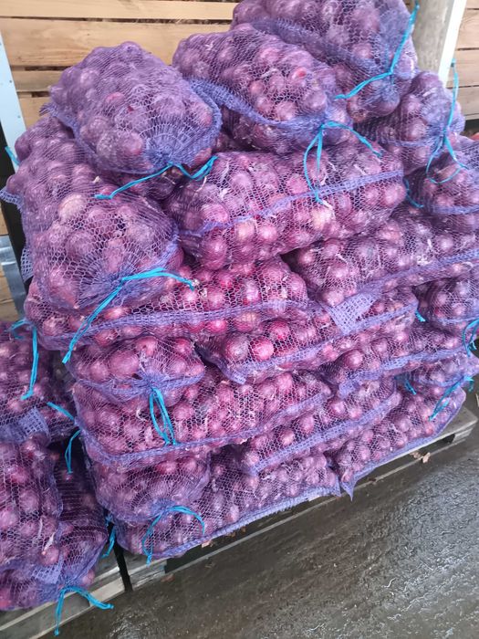 Ceapă roșie la plasă 10 kg și 5kg
