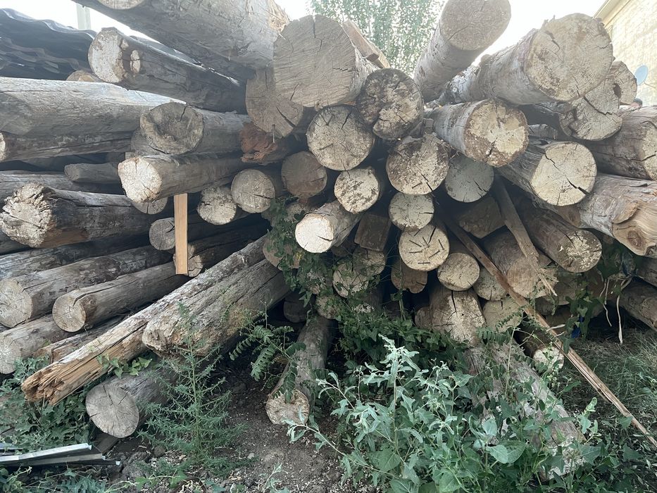 Бревно продается
