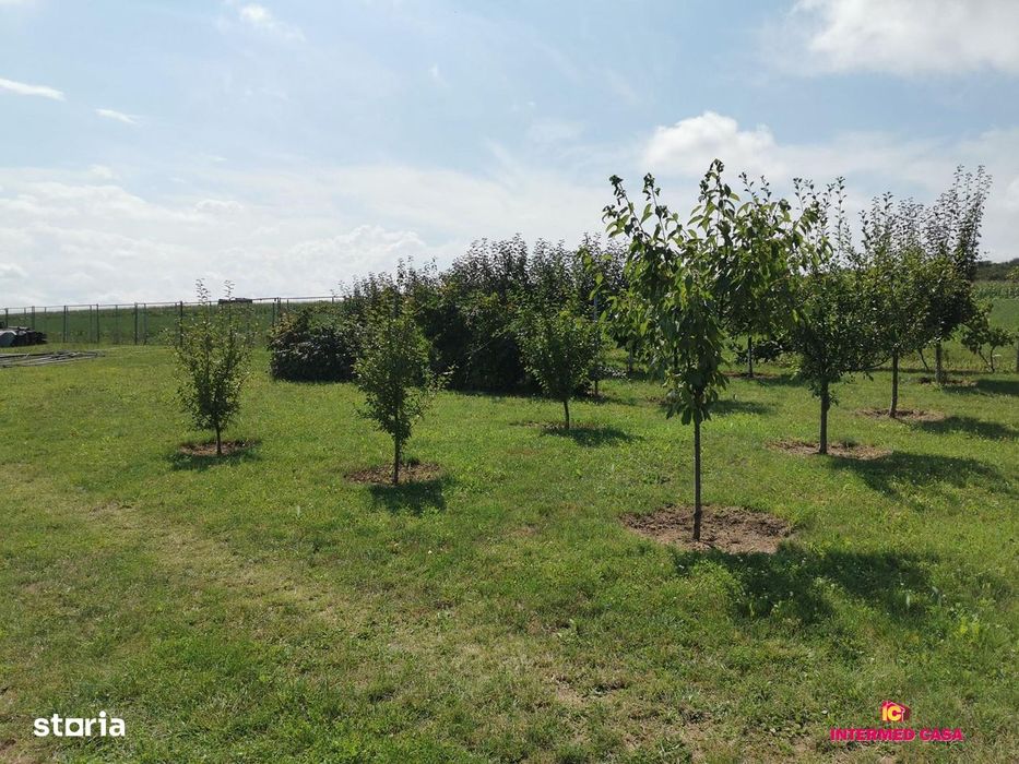 Teren intravilan de vânzare – Daia, Sibiu 665 mp