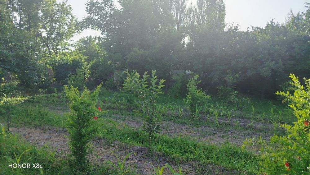 Yer sotiladi 6 sotik