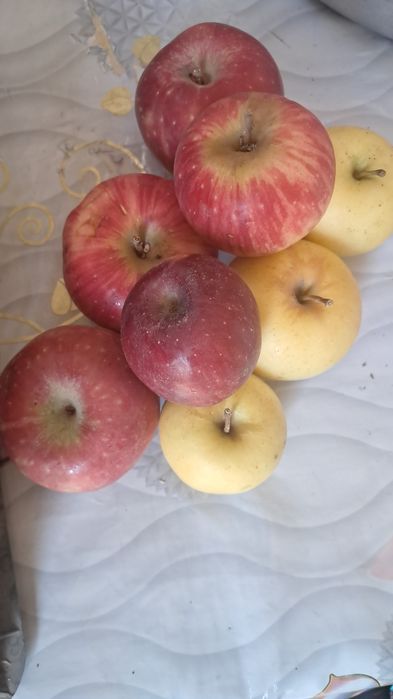 Продам пастилу домашнию