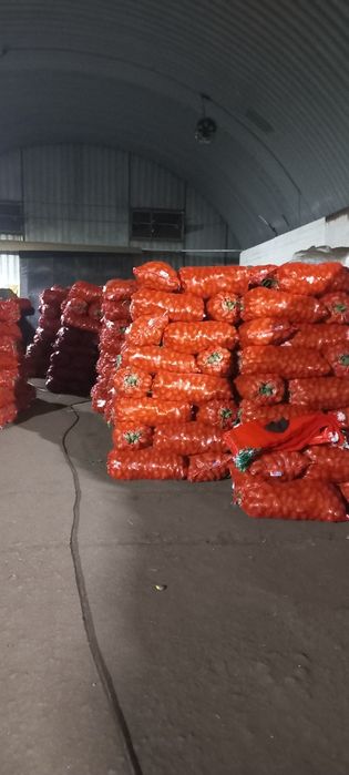 Продам Картофель