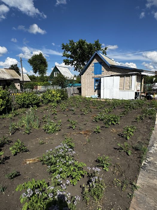 Продам ухоженную дачу с/т Ромашка