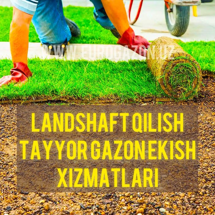 gazon toshkent рулонные газоны в ташкенте