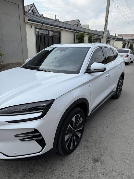 Byd chempion Restailing 2024