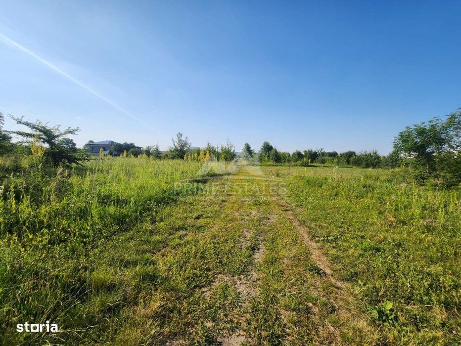 Oportunitate achizitie 2000 mp de teren intravilan - Greenfield