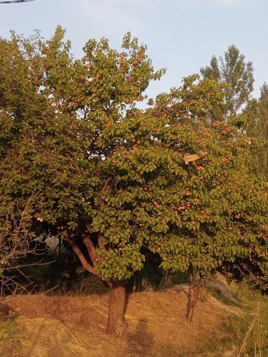 Срочно продам земельный участок 4 сотки