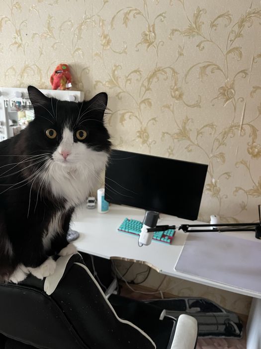 ДЕШЕВО! Продам игровой пк