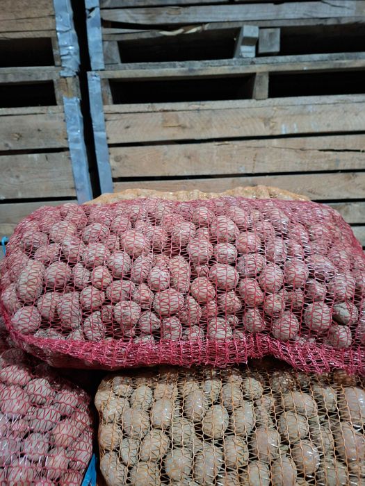 Cartofi pentru animale