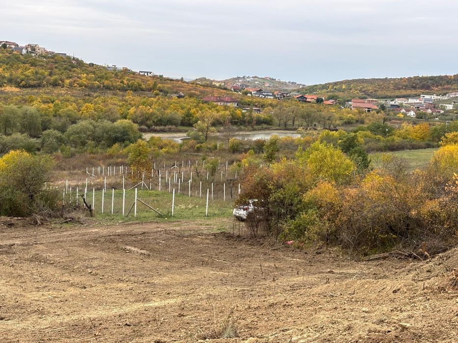 Parcele 665mp si 1000mp. Okazie  Saldabagiu de Munte
