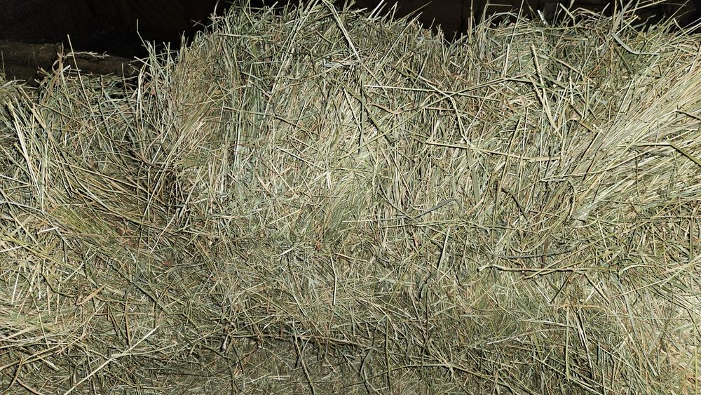 Vând baloți de fân