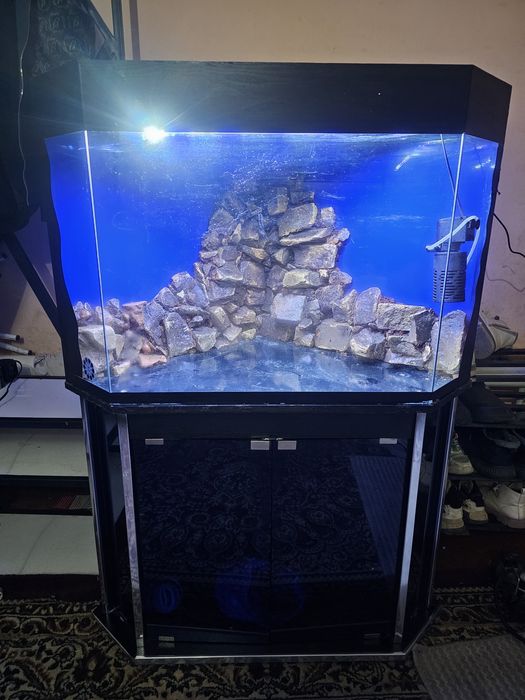 Srochniy akvarum sotiladi