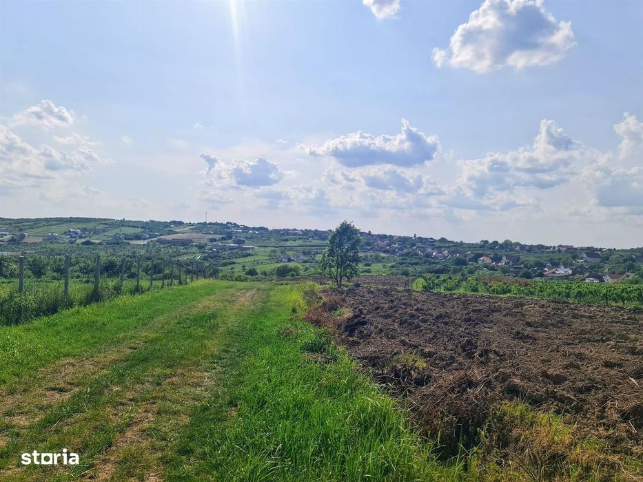 Teren intravilan Zona Gheorghe Doja 1100mp