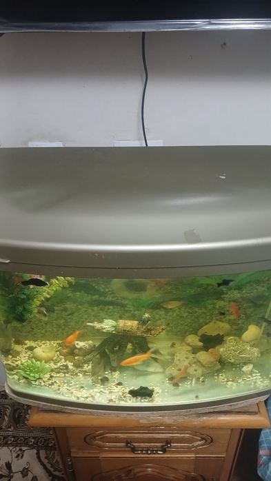 Заводская аквариум 60литр