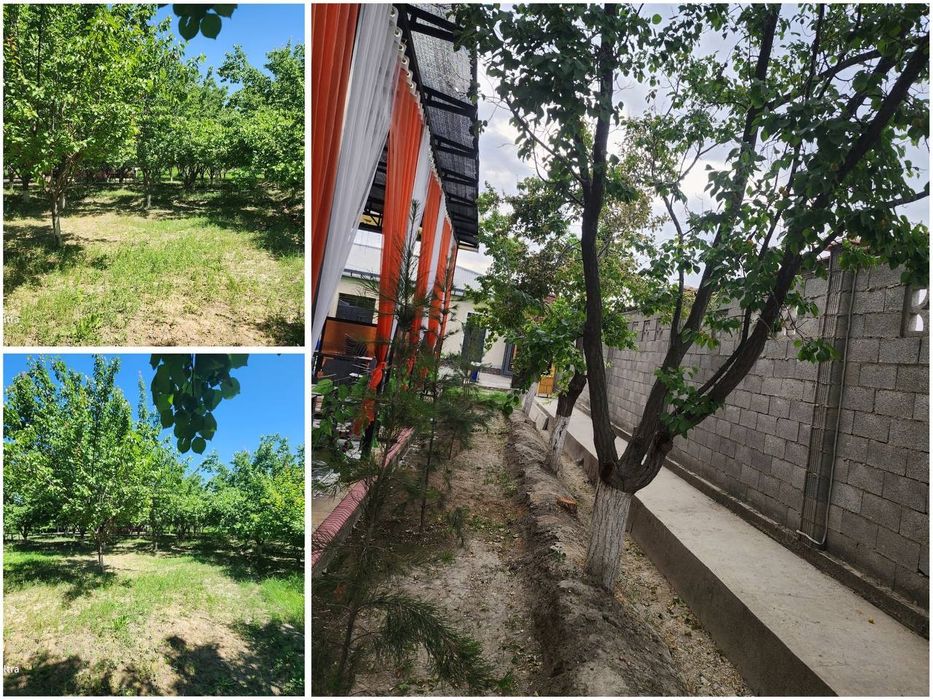 Tayyor biznes va katta maydonga ega koʻchmas mulk sotiladi