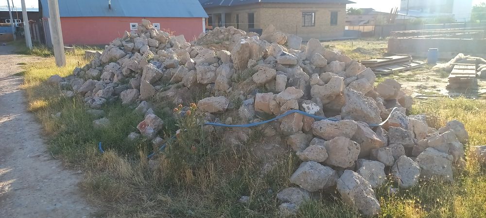 Блужник тасы бар