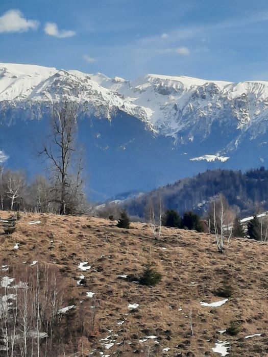 Teren la munte Dambovicioara Ciocanu Satic