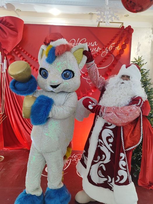 Дед Мороз и Снегурочка на дом.