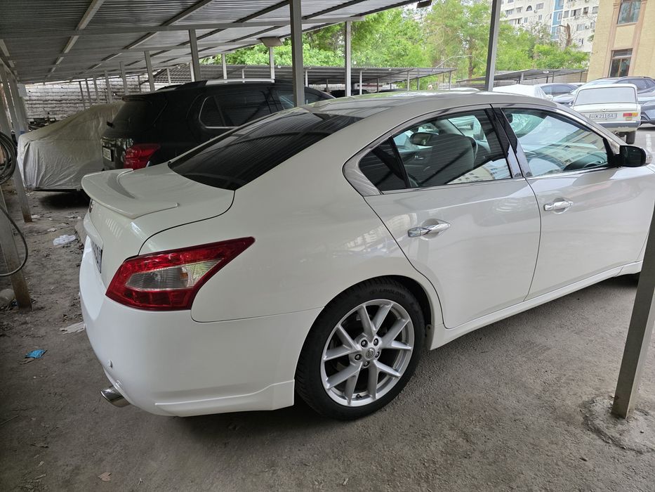 Ниссан Максима в отличном состоянии