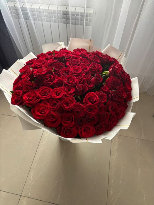101 роза Свежие сегодня