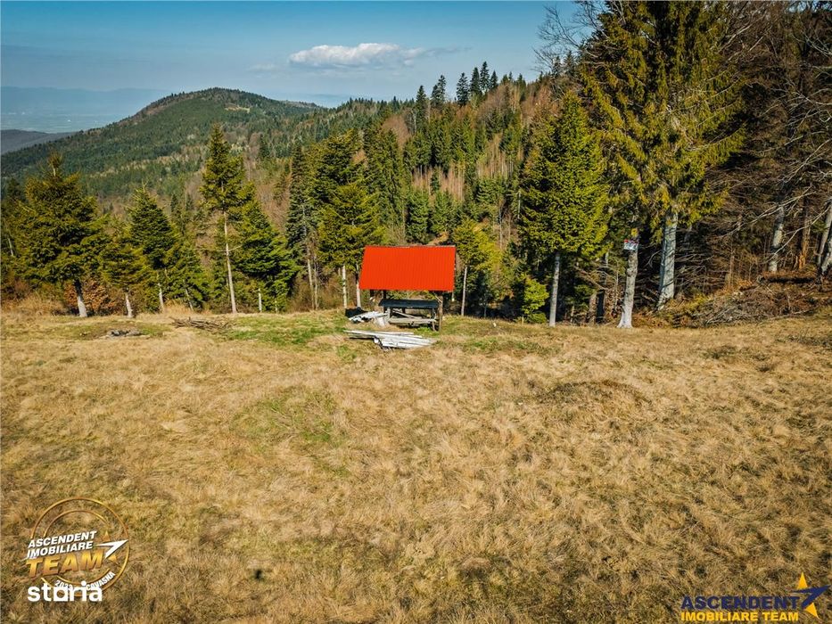 In notabil areal, teren extravilan pe 5.800 mp, Ojdula, Covasna